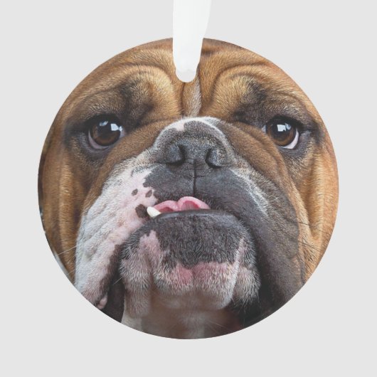 Sierkussen Engelse Bulldog Ornament (voorkant)