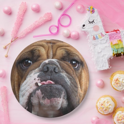 Sierkussen Engelse Bulldog Papieren Bordje (Feest)
