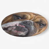 Sierkussen Engelse Bulldog Papieren Bordje (Gekanteld)