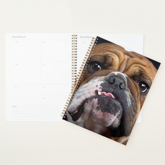Sierkussen Engelse Bulldog Planner (Display)