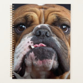 Sierkussen Engelse Bulldog Planner (Voorkant)