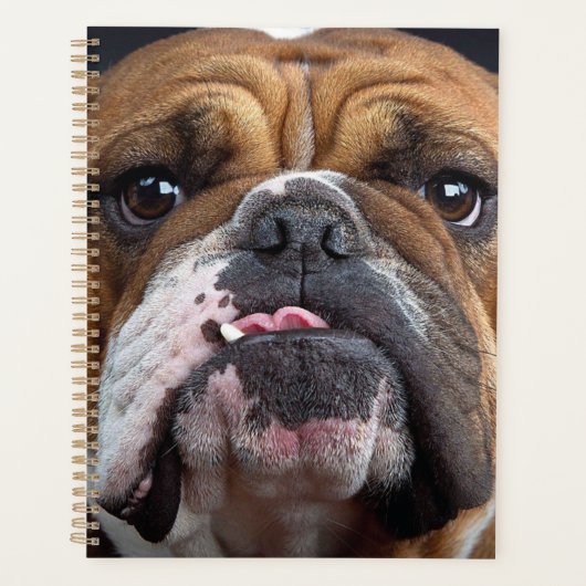 Sierkussen Engelse Bulldog Planner (Voorkant)