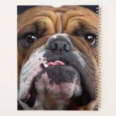 Sierkussen Engelse Bulldog Planner (Achterkant)