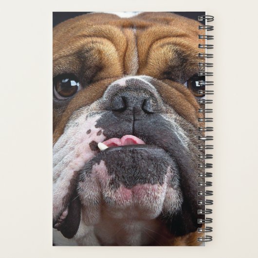 Sierkussen Engelse Bulldog Planner (Achterkant)