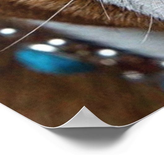 Sierkussen Engelse Bulldog Poster (Hoek)