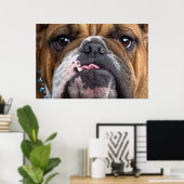 Sierkussen Engelse Bulldog Poster (Thuiskantoor)