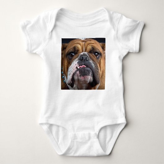 Sierkussen Engelse Bulldog Romper (Voorkant)