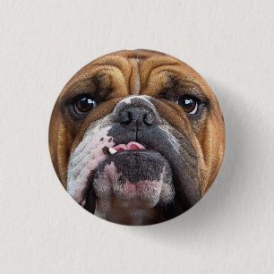 Sierkussen Engelse Bulldog Ronde Button 3,2 Cm
