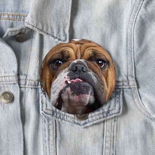 Sierkussen Engelse Bulldog Ronde Button 4,0 Cm (In situ)