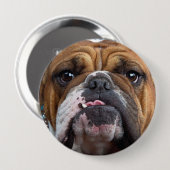 Sierkussen Engelse Bulldog Ronde Button 4,0 Cm (Voorkant /achterkant)