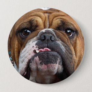 Sierkussen Engelse Bulldog Ronde Button 4,0 Cm