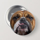 Sierkussen Engelse Bulldog Ronde Button 7,6 Cm (Voorkant /achterkant)