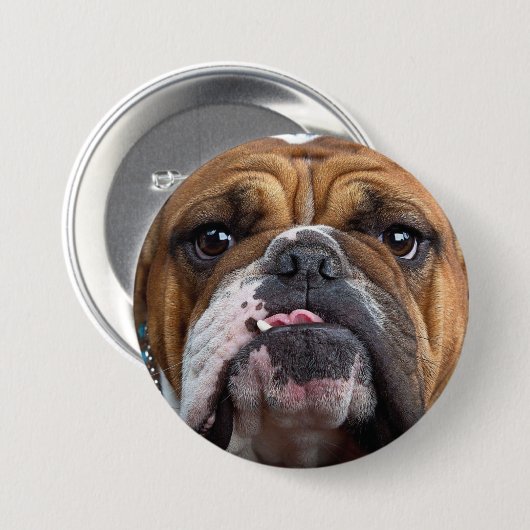 Sierkussen Engelse Bulldog Ronde Button 7,6 Cm (Voorkant /achterkant)