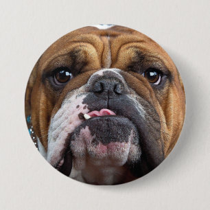 Sierkussen Engelse Bulldog Ronde Button 7,6 Cm