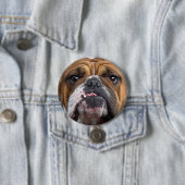 Sierkussen Engelse Bulldog Ronde Button 7,6 Cm (In situ)