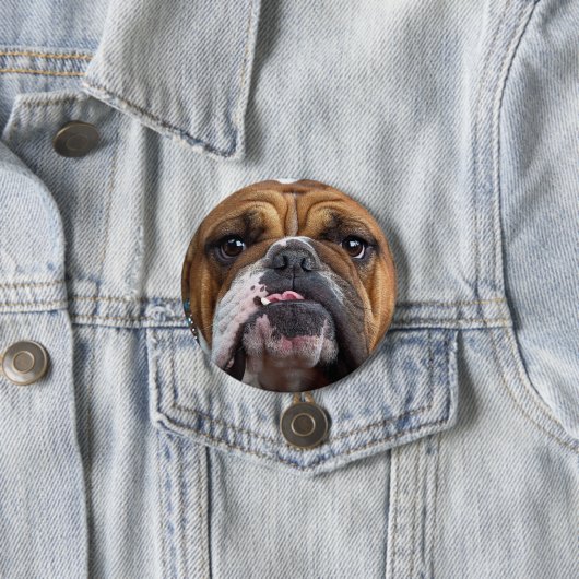 Sierkussen Engelse Bulldog Ronde Button 7,6 Cm (In situ)