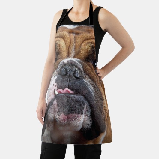 Sierkussen Engelse Bulldog Schort (Insitu)