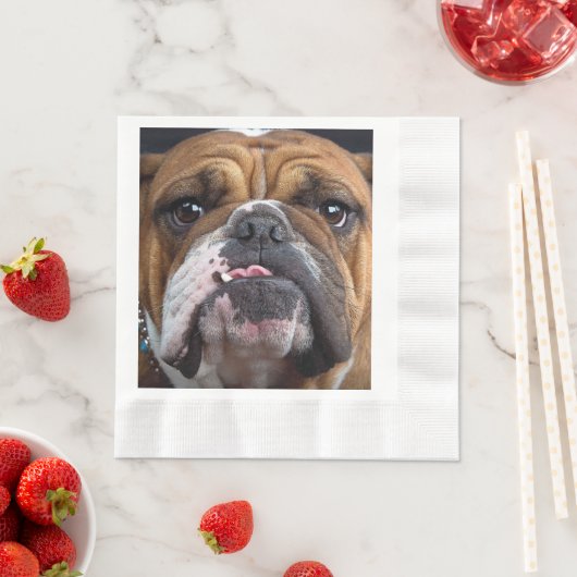 Sierkussen Engelse Bulldog Servet (Insitu)