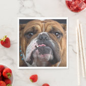 Sierkussen Engelse Bulldog Servet (Insitu)