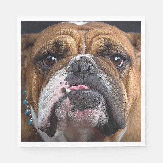Sierkussen Engelse Bulldog Servet (Voorkant)