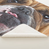 Sierkussen Engelse Bulldog Sherpa Deken (3/4)