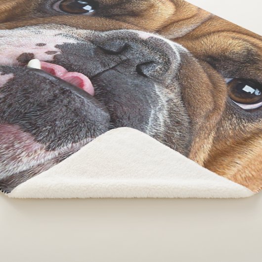 Sierkussen Engelse Bulldog Sherpa Deken (3/4)
