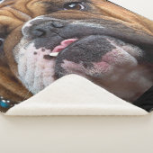 Sierkussen Engelse Bulldog Sherpa Deken (3/4)