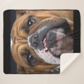 Sierkussen Engelse Bulldog Sherpa Deken (Voorkant (horizontaal))