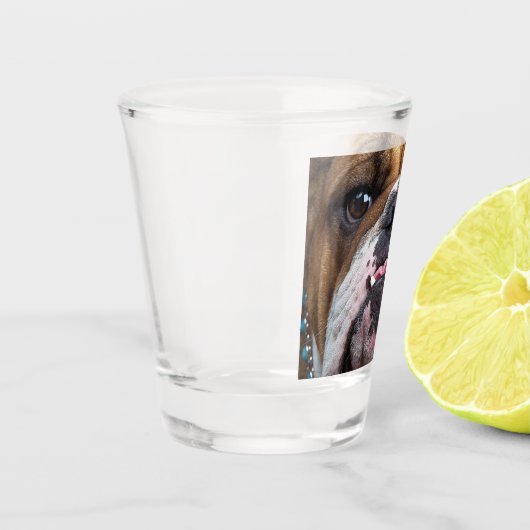 Sierkussen Engelse Bulldog Shot Glas (Links)