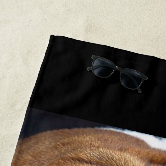 Sierkussen Engelse Bulldog Strandlaken (In situ)