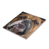 Sierkussen Engelse Bulldog Tegeltje (Zijkant)