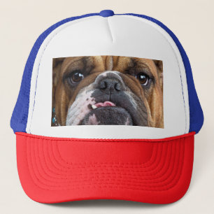 Sierkussen Engelse Bulldog Trucker Pet