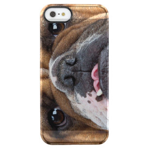 Sierkussen Engelse Bulldog Doorzichtig iPhone SE/5/5s Hoesje