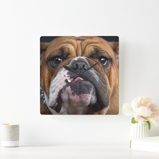 Sierkussen Engelse Bulldog Vierkante Klok (Huis)