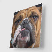 Sierkussen Engelse Bulldog Vierkante Klok (Hoek)