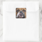 Sierkussen Engelse Bulldog Vierkante Sticker (Tas)