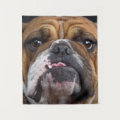 Sierkussen Engelse Bulldog Wandkleed (Voorkant)