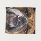 Sierkussen Engelse Bulldog Wandkleed (Voorkant (horizontaal))