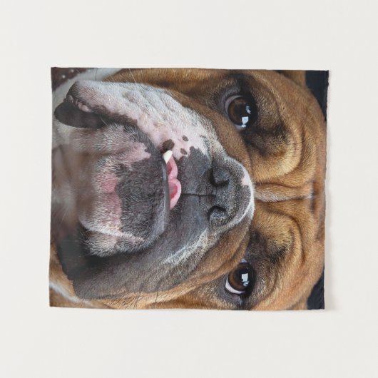 Sierkussen Engelse Bulldog Wandkleed (Voorkant (horizontaal))