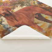 Sierkussen Glas Onderzetter C Sherpa Deken (3/4)