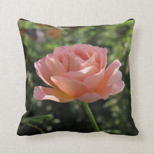 Sierkussen met "Abraham Darby"-Roos