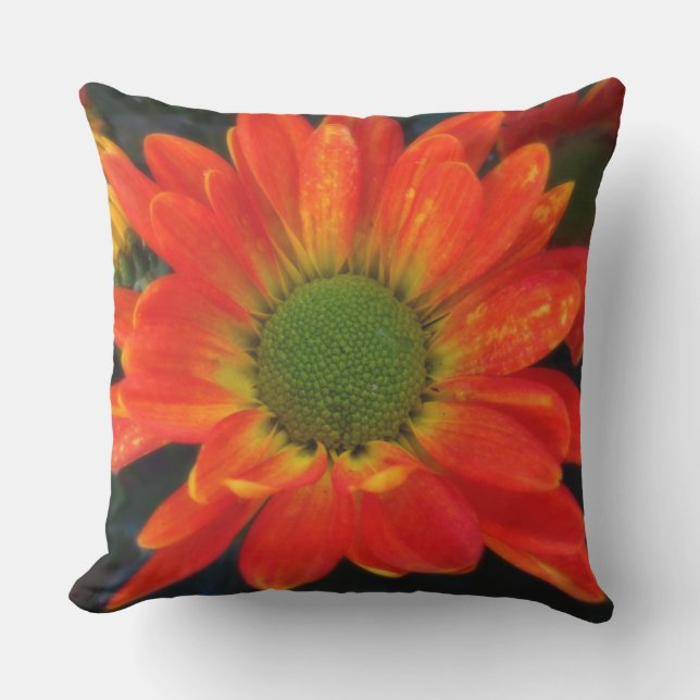 Sierkussen met oranje moeders buiten (Voorkant)