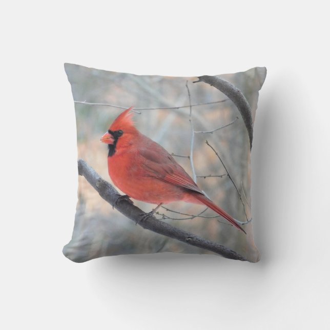 Sierkussen noordelijk kardinaal profiel (Voorkant)