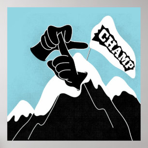 Sierkussen Poster