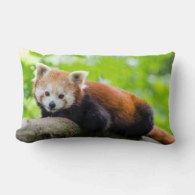 Sierkussen Red Panda Kussen (Voorkant)