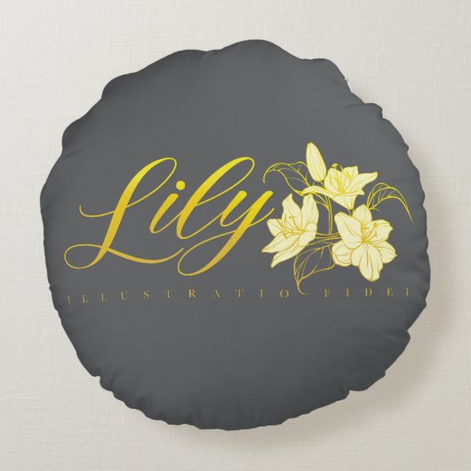 Sierkussen Rond Kussen (Achterkant)