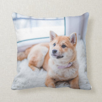 Sierkussen, Sierkussen 16 x 16 inch