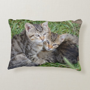 Sierkussen Tabby Sisters Decoratief Kussen