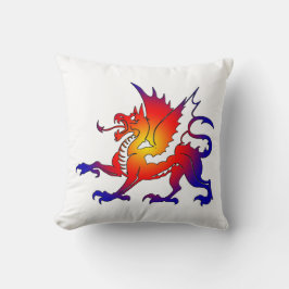 Sierkussen Tribal-kleurendraak