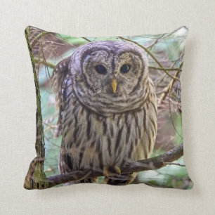 Sierkussen van Barred Owl